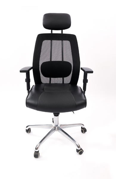 Pruina Chair Budget-friendly chair with advanced adjustable features to ensure an ideal fit, including adjustable seat height, headrest, bac.