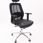 Pruina Chair Budget-friendly chair with advanced adjustable features to ensure an ideal fit, including adjustable seat height, headrest, bac.