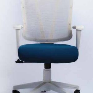 low back chair - FlakeTech