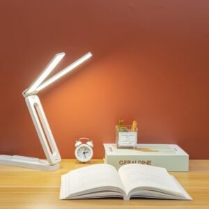 Double LED Desk Lamp