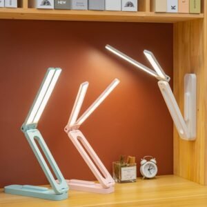 Double LED Desk Lamp