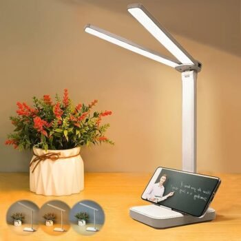 Double LED Desk Lamp